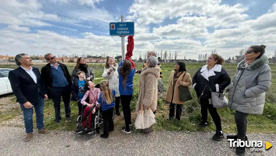 Dévoilement de la plaque de la rue Carolina Purpurina : un groupe, dont une fillette en fauteuil roulant, regarde le panneau bleu.